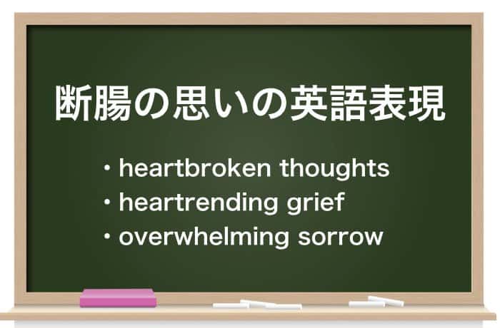 断腸の思い の意味と由来は 使い方 例文 類語を徹底解説 Career Picks