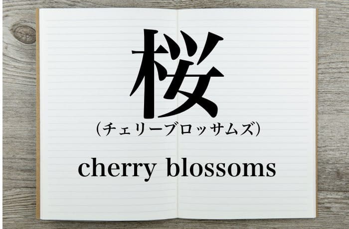桜 は英語でなんて言うの 桜の魅力を英語で説明しよう